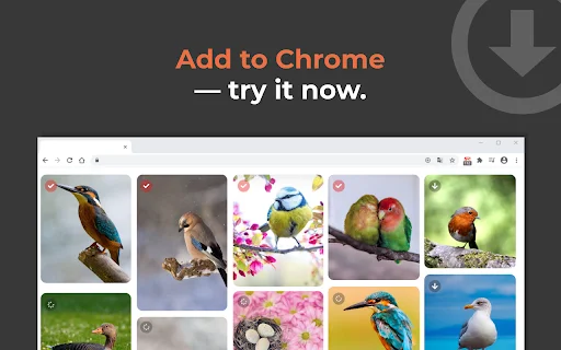Grabit: Baixador de Imagens com 1 Clique – Download Rápido e Fácil - Screenshot 6