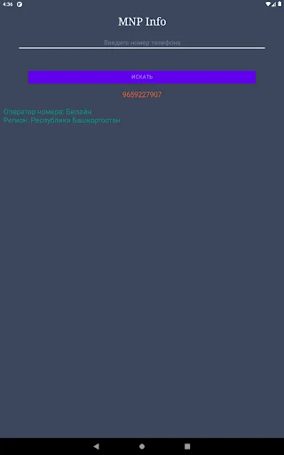 Operadora de Telefone: Identifique Números da Rússia Rapidamente - Screenshot 11