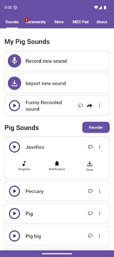 Baixar Pig Sounds: O Melhor Soundboard de Porquinhos Grátis - Screenshot 1