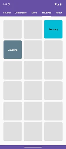 Baixar Pig Sounds: O Melhor Soundboard de Porquinhos Grátis - Screenshot 5