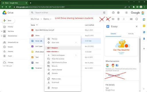 xFanatical Safe Doc: Gerencie o Google Workspace na Educação - Screenshot 5