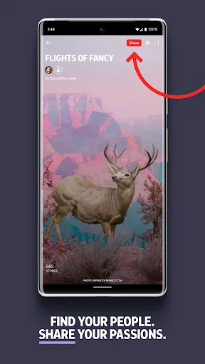 Flipboard: Sua Revista Digital e Notícias – Baixe Grátis Agora - Screenshot 5