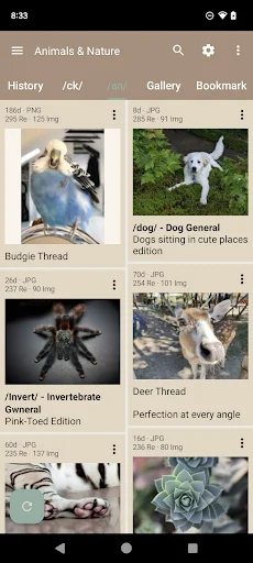 Baixar Read Chan para Android – Navegação 4chan Otimizada - Screenshot 1