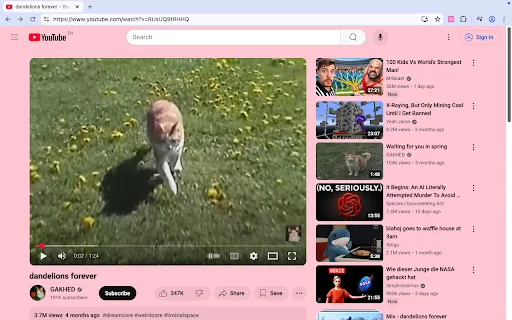 Pastel Pink YouTube: Deixe seu YouTube com um visual rosa incrível - Screenshot 1
