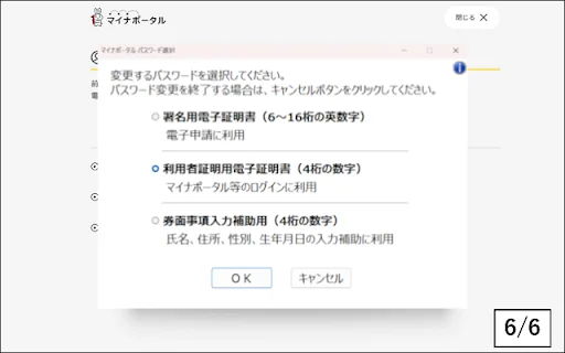 Download MynaPortal para Chrome: Acesse Serviços Públicos Online - Screenshot 6