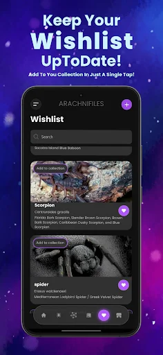 Arachnifiles: Pet Tracker – Gerencie seus Aracnídeos com Facilidade - Screenshot 6