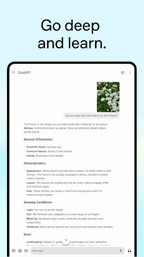 Baixar ChatGPT: Seu Assistente Inteligente e Gratuito - Screenshot 10