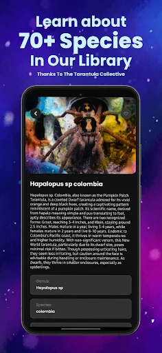 Arachnifiles: Pet Tracker – Gerencie seus Aracnídeos com Facilidade - Screenshot 5