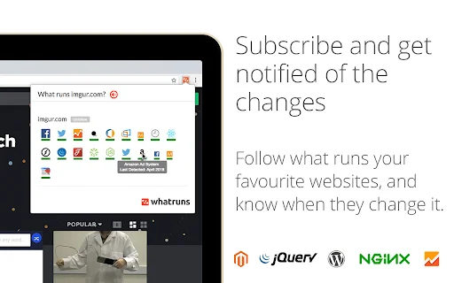 WhatRuns: Descubra Tecnologias de Sites – Extensão Gratuita - Screenshot 3