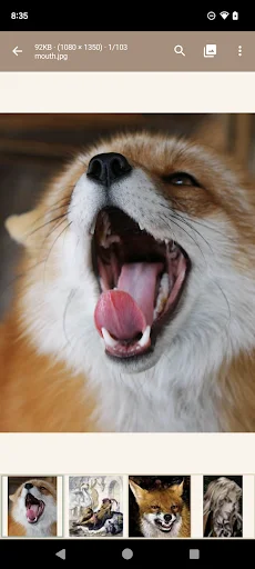 Download Read Chan APK – Experiência 4chan Premium no Android - Screenshot 5