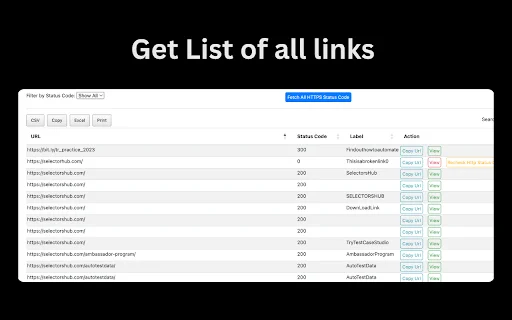 Check My Links – Verificador de Links Quebrados para SEO - Screenshot 4