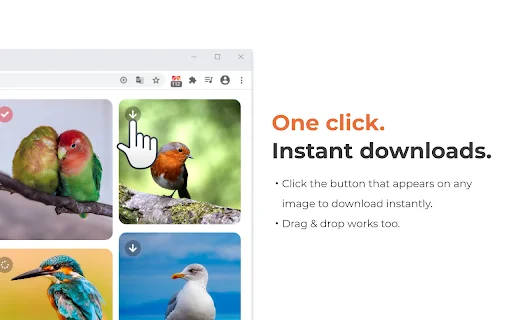 Grabit: Baixador de Imagens com 1 Clique – Download Rápido e Fácil - Screenshot 2