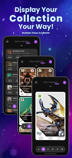 Arachnifiles: Pet Tracker – Gerencie seus Aracnídeos com Facilidade - Screenshot 3