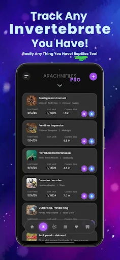 Arachnifiles: Pet Tracker – Gerencie seus Aracnídeos com Facilidade - Screenshot 1