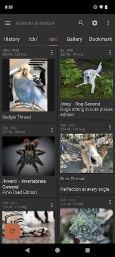 Download Read Chan APK – Experiência 4chan Premium no Android - Screenshot 2