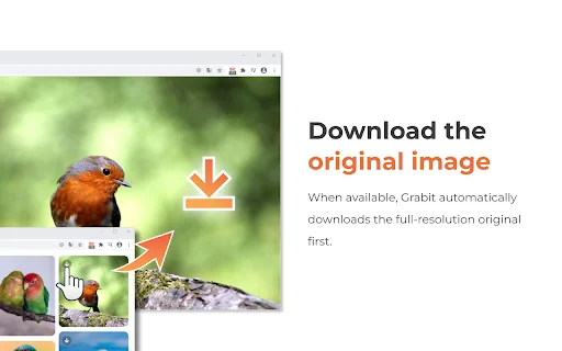 Grabit: Baixador de Imagens com 1 Clique – Download Rápido e Fácil - Screenshot 3