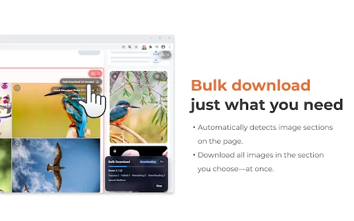 Grabit: Baixador de Imagens com 1 Clique – Download Rápido e Fácil - Screenshot 4