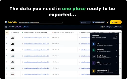 Ultimate Web Scraper: Extração de Dados Eficiente e Rápida - Screenshot 4