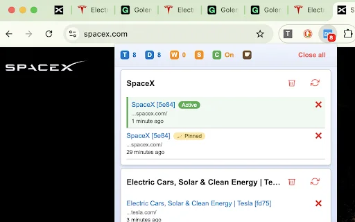 Duplicate Tab Detector: Elimine Abas Duplicadas no Navegador - Screenshot 1
