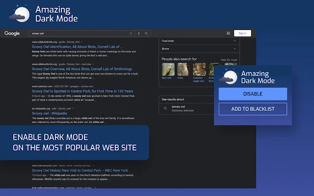Amazing Dark Mode: Ative o Modo Escuro em Qualquer Site Agora - Screenshot 1