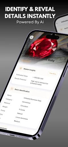 Jewelry Identifier: Identifique Joias e Pedras Preciosas Agora - Screenshot 2